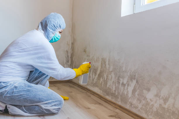 Commercial Mold Remediation assessment for commercial property in Louisville